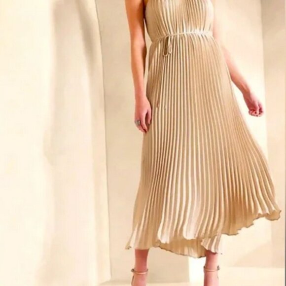NWT!! Banana Republic Halter Pleated Maxi Dress- XS Oyster Pearl Color - Picture 2 of 11